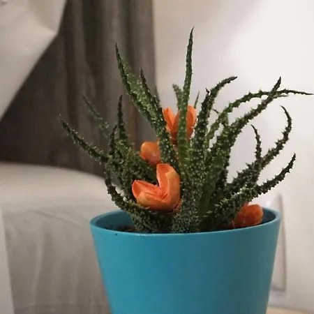 Casa Da Andorinha, Charm Bolhao Апартаменты Порту